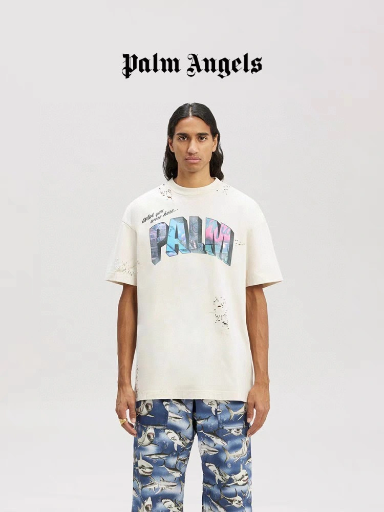 Gemini-- P187 .oversized item:E-FL29H3004